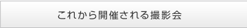 これから開催される撮影会