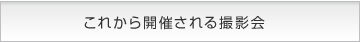 これから開催される撮影会